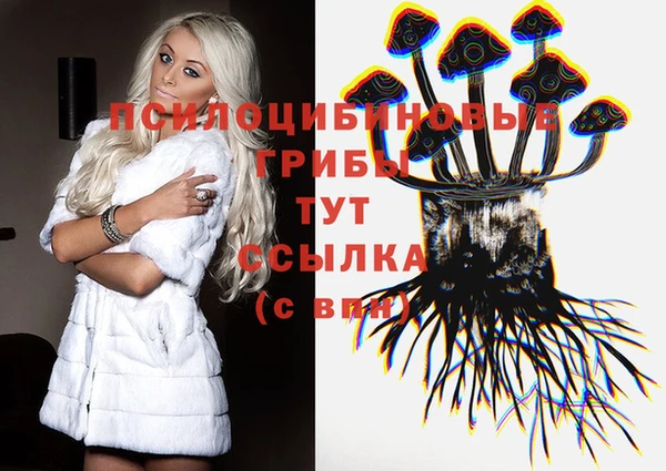 СК Балахна
