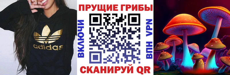 купить наркоту  Нерюнгри  Галлюциногенные грибы Magic Shrooms 