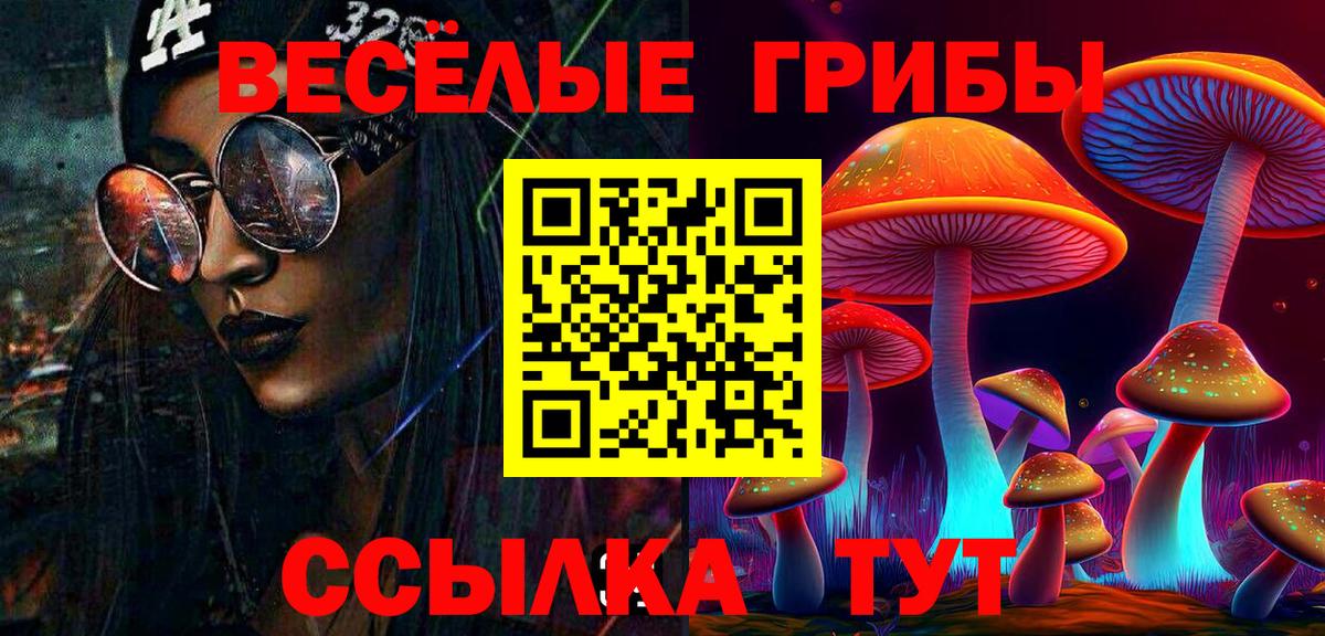 Нерюнгри  Псилоцибиновые грибы ЛСД  Вход с VPN 