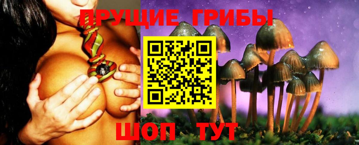Псилоцибиновые грибы ЛСД Нерюнгри