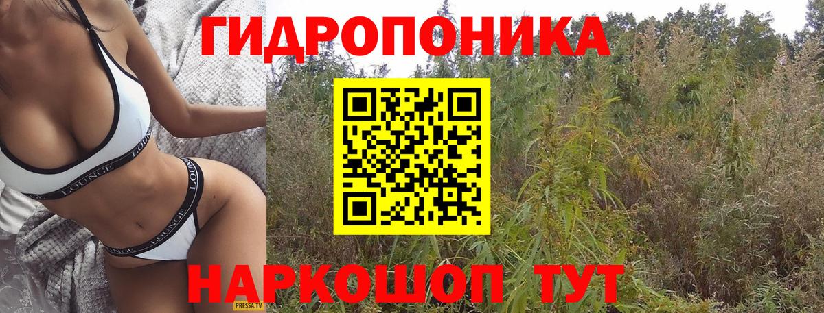 Бошки Шишки SATIVA & INDICA  Вход с VPN  Каннабис LSD WEED  Нерюнгри  Бошки Шишки гибрид  Бошки марихуана индика 